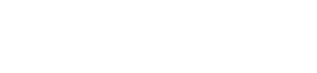 bti vanguard logo R - white